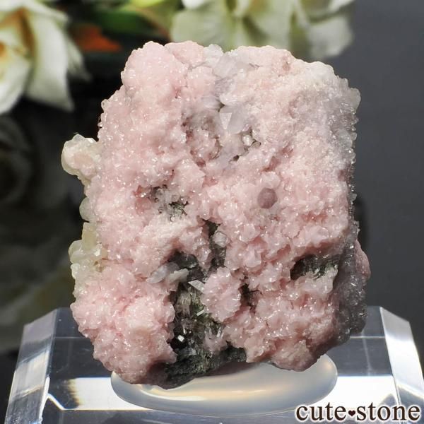 ֥륬ꥢ Madan ɥȡġƥХ No.7β