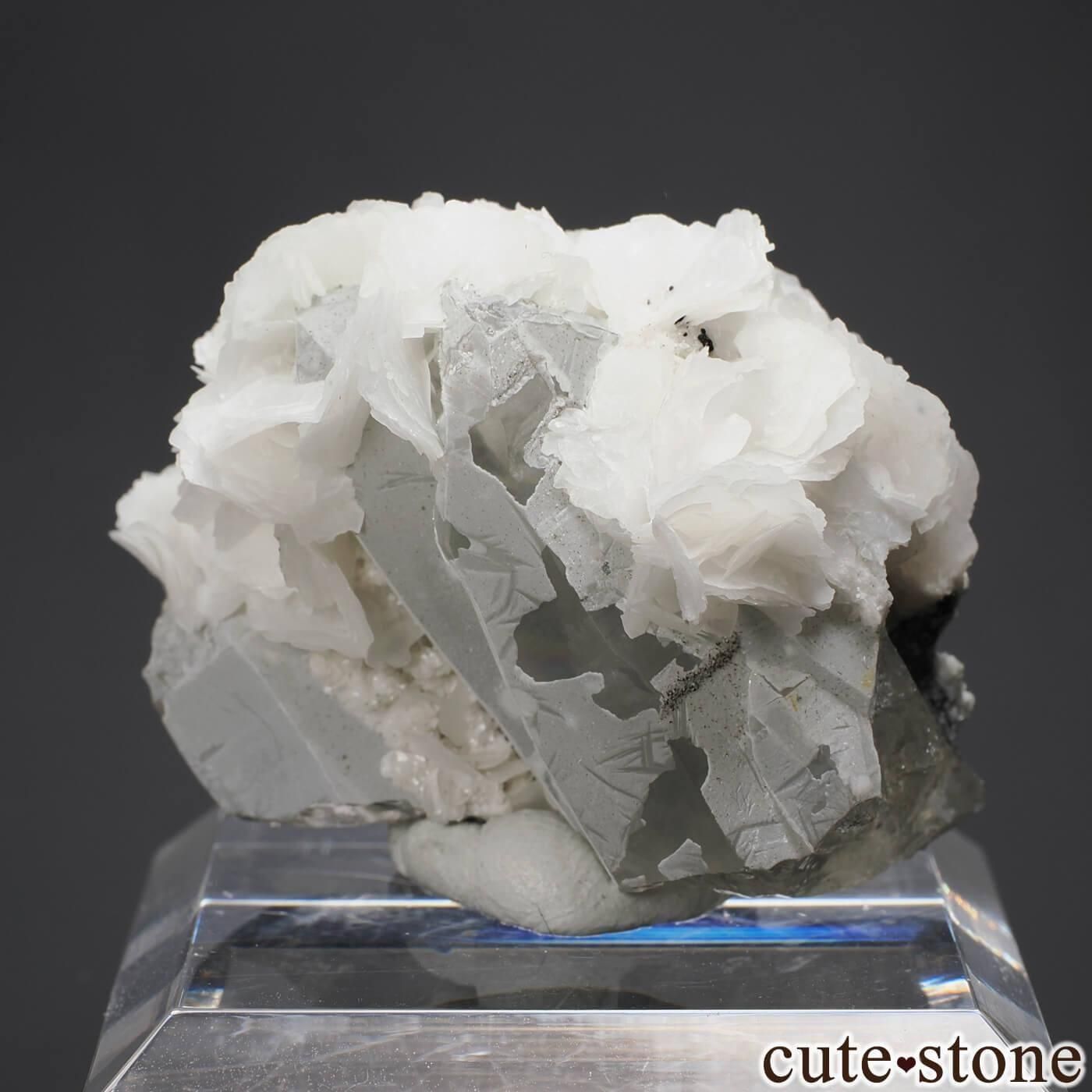 䥪󥷥 륵Ȥθ No.2μ̿1 cute stone