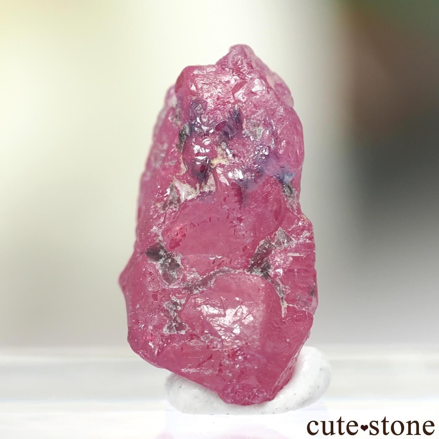 タンザニア　サザナミゴライアス　かゴライアス　約58mm 82mm タンザニア サザナミゴライアス かゴライアス 約58mm 82mm