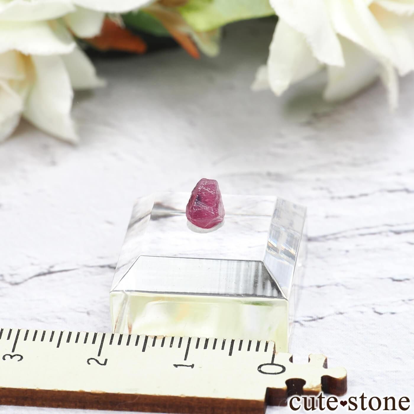 󥶥˥ Winza ʥԥ󥯥եˤθ No.7μ̿1 cute stone