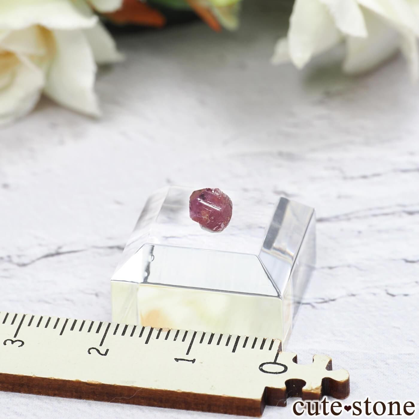 󥶥˥ Winza ʥԥ󥯥եˤθ No.13μ̿1 cute stone