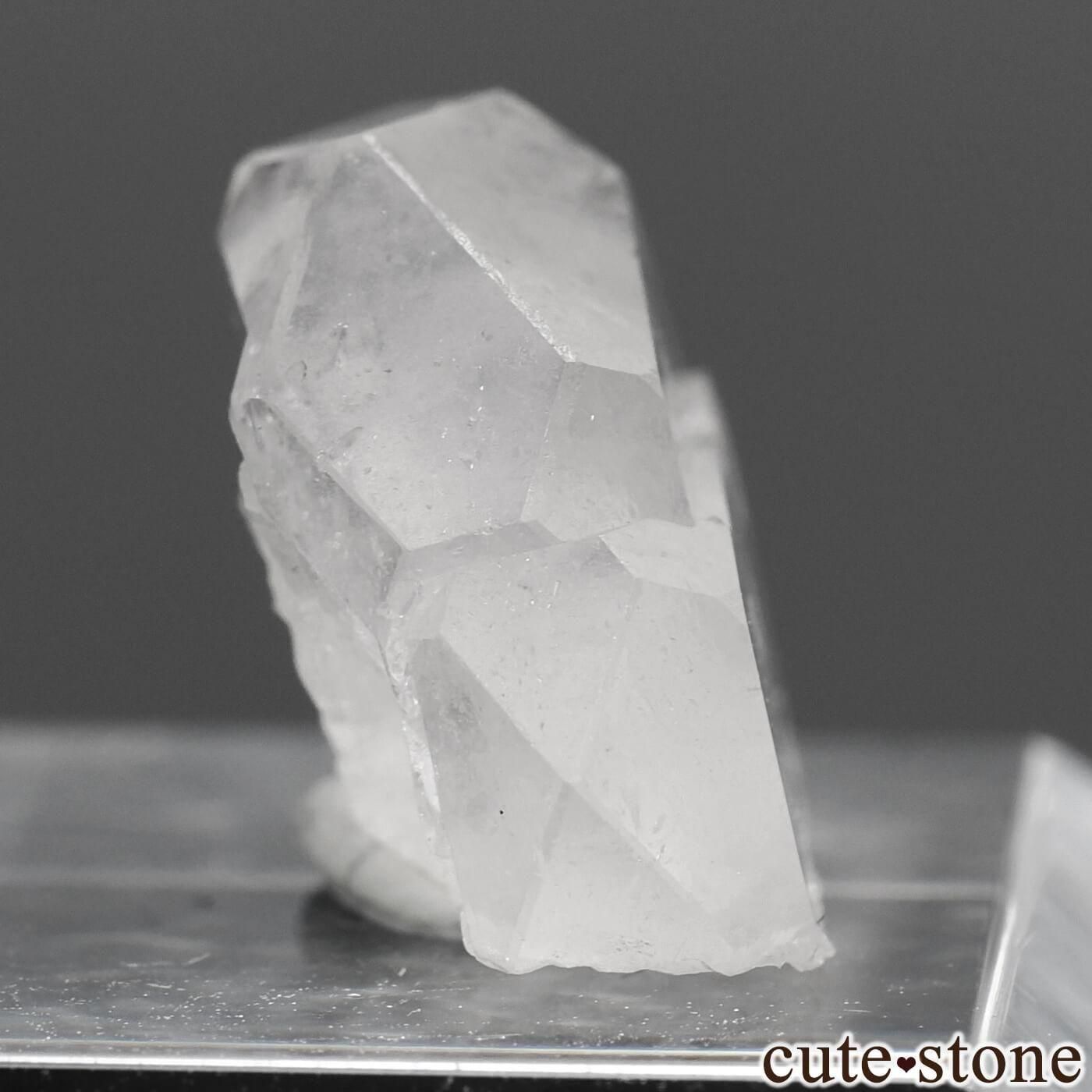 ꥫ ե˥ ǥ ʥȤθ No.1μ̿0 cute stone