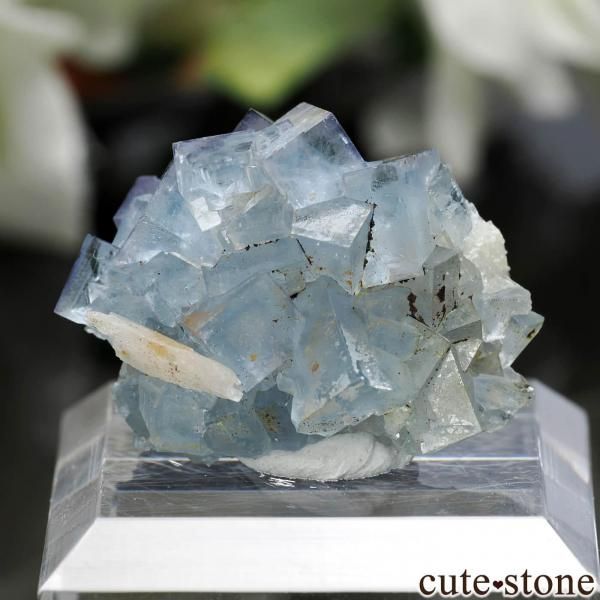 ブルーフローライト」の商品一覧（ブレスレット、etc）【cute stone】