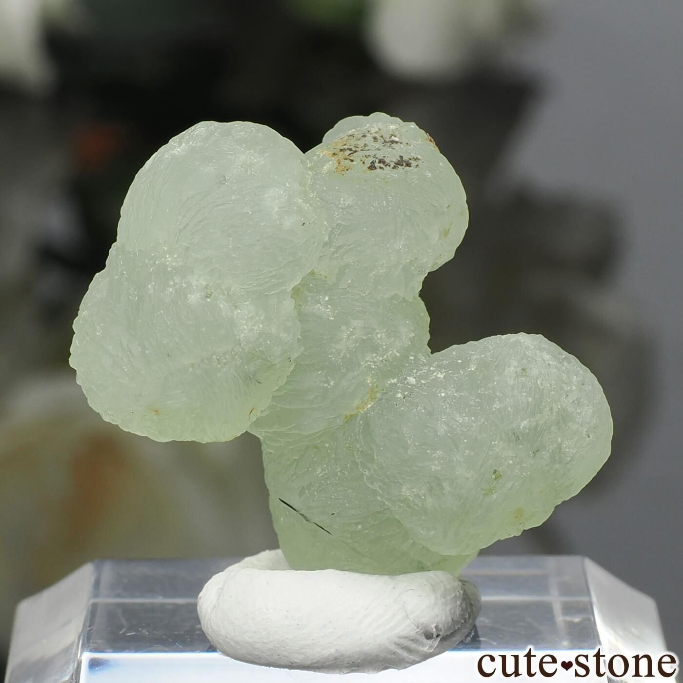 ޥ Kayes ץʥȡԥɡȤθ No.19μ̿0 cute stone