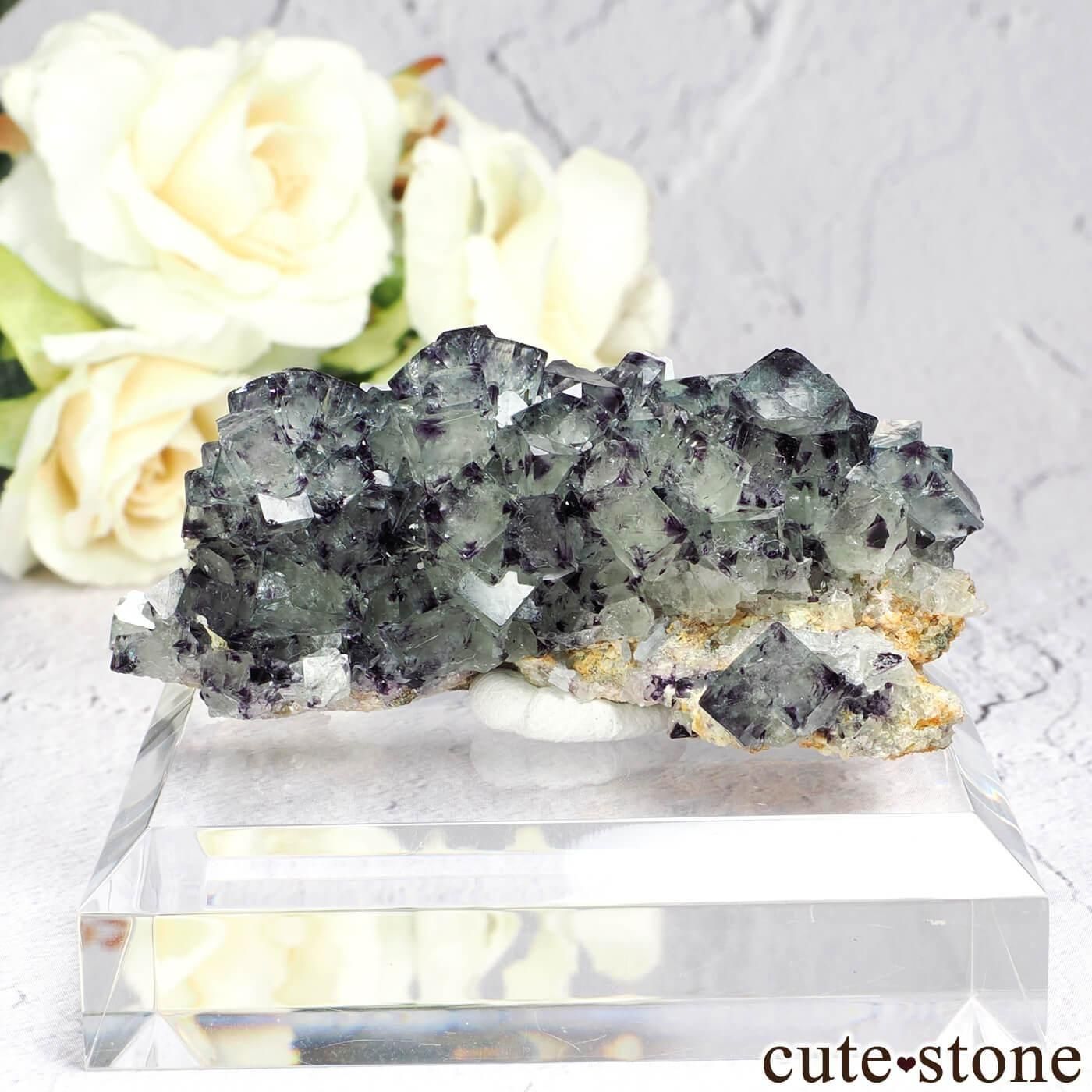 高品質　タンビュライト　K198 ナミビア Okorusu Mine｜D-Pit産 フローライトの原石 No.70