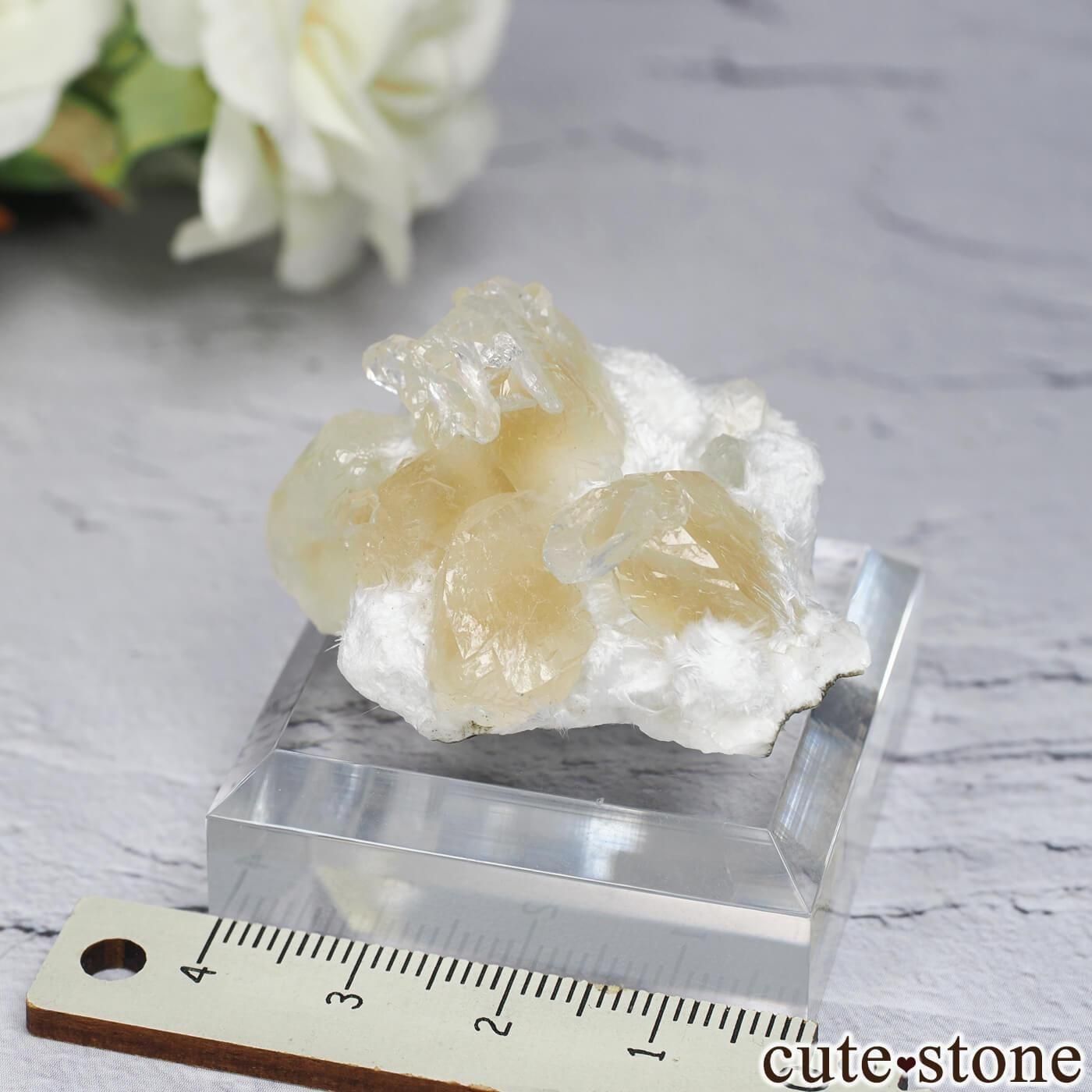  Lonavala 顼쥹ߥݥե饤ȡǥʥȤθ No.16μ̿3 cute stone