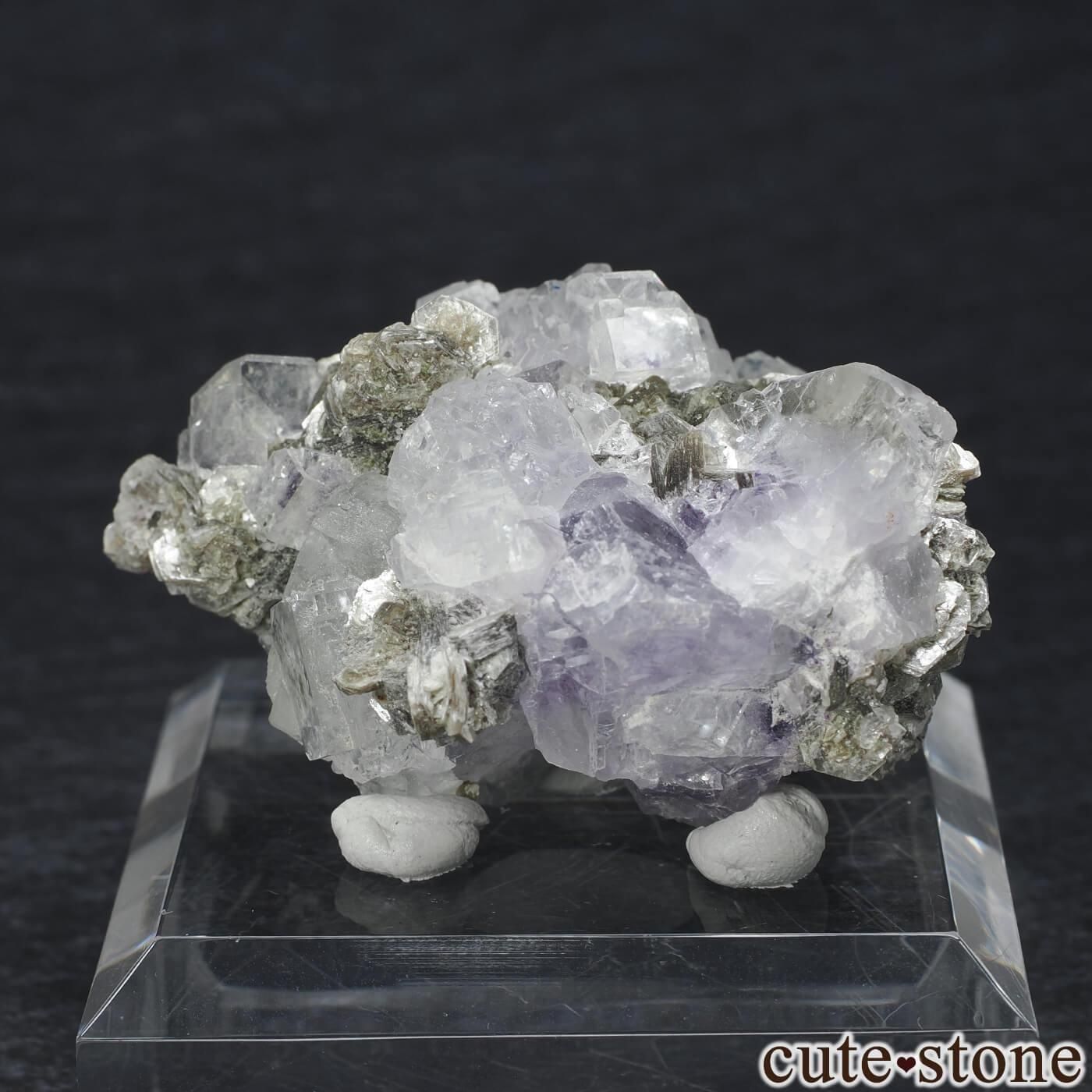 䥪󥷥 ե饤ȡ⥹ХȤθ No.98μ̿1 cute stone