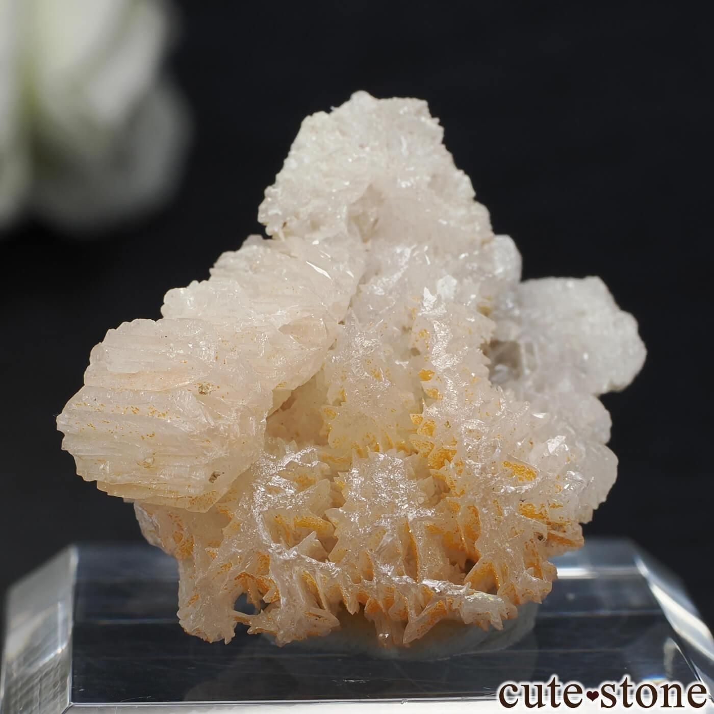 セルサイト ウルフェナイト 鉱物標本 イラン Nakhlak Mine産セルサイト＆ウルフェナイトの原石 No.7