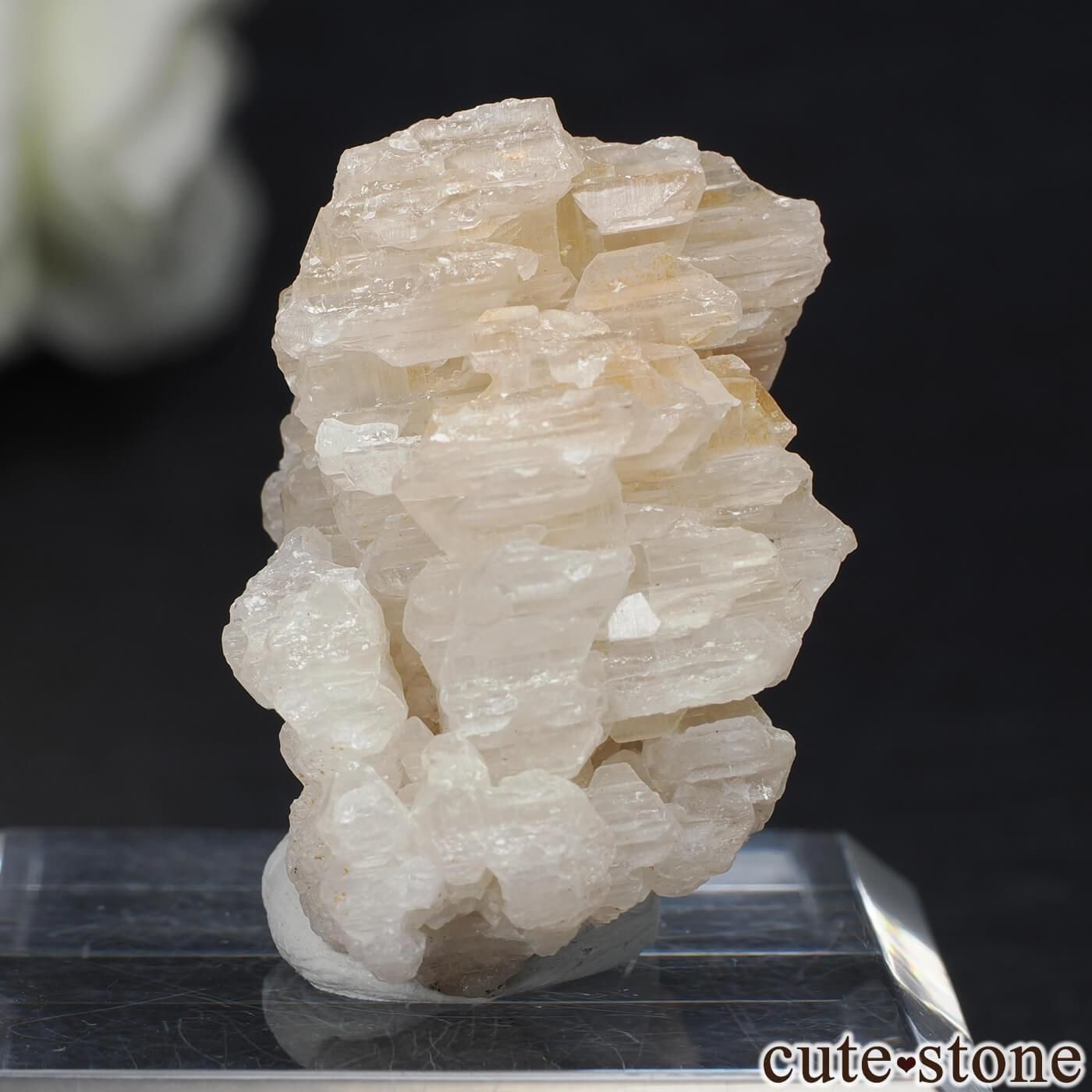 セルサイト ウルフェナイト 鉱物標本 イラン Nakhlak Mine産セルサイト＆ウルフェナイトの原石 No.7