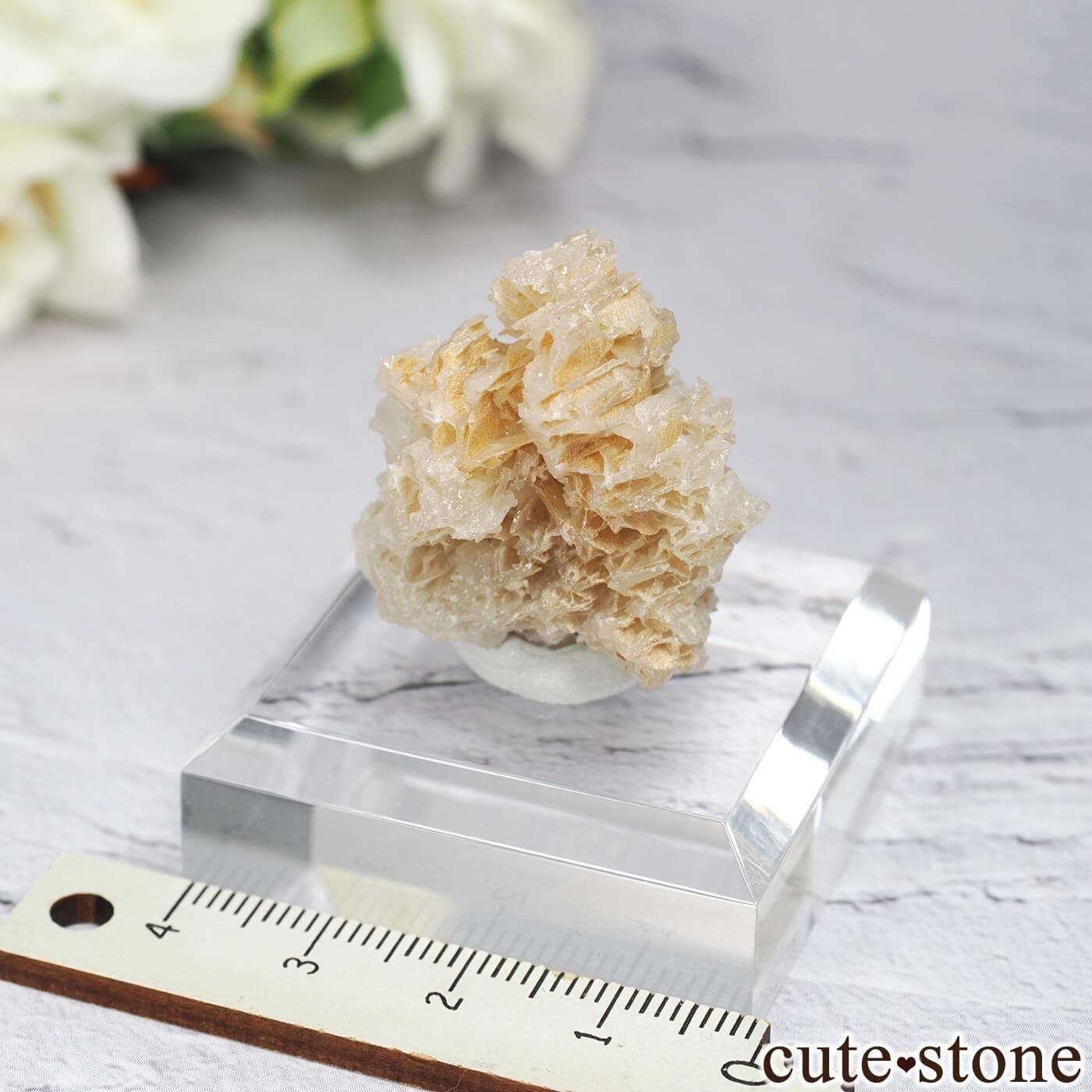 イラン Nakhlak Mine産セルサイト＆ウルフェナイトの原石 No.8 - cute