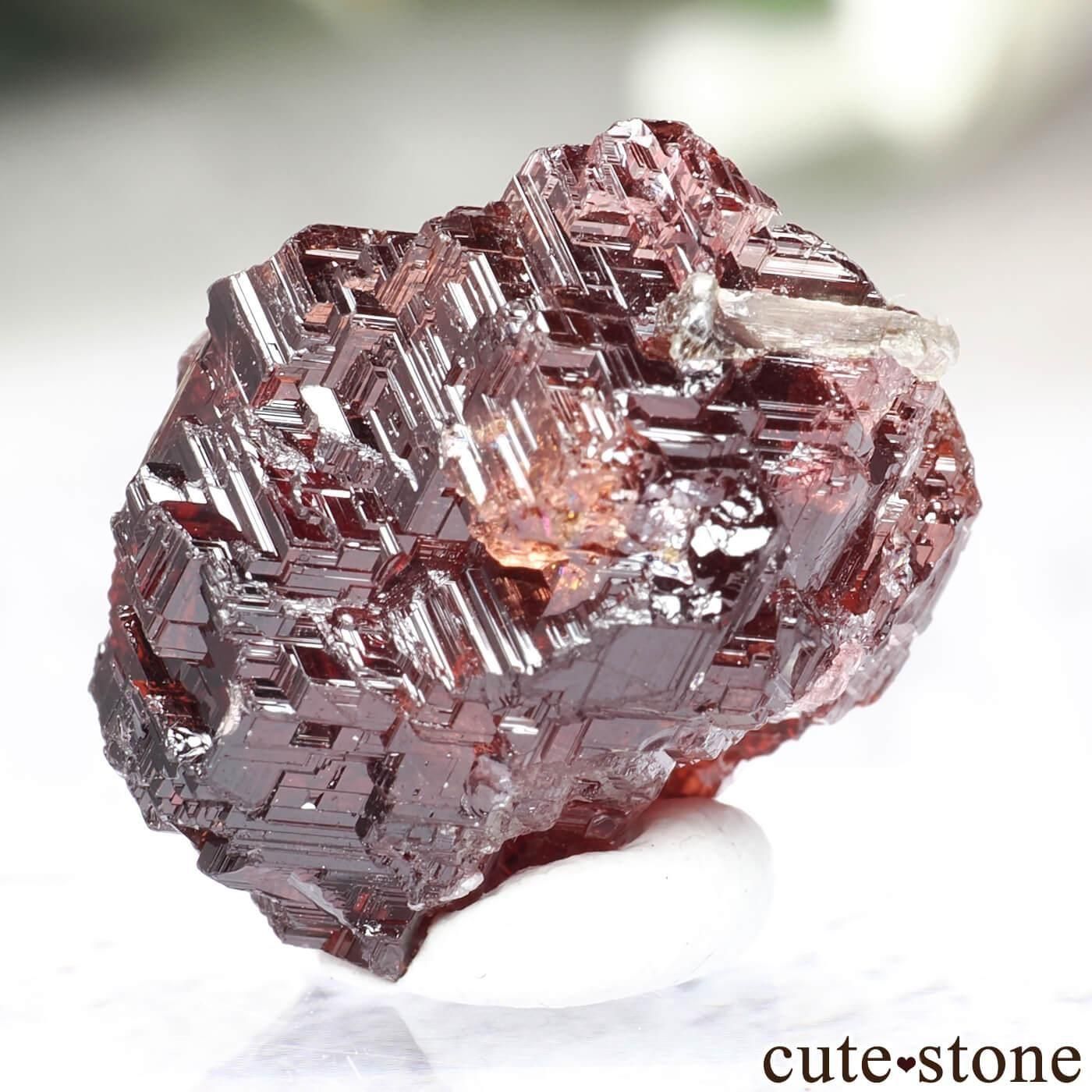 ֥饸 Navegadora claim ڥƥ󥬡ͥåȤθ No.14μ̿1 cute stone