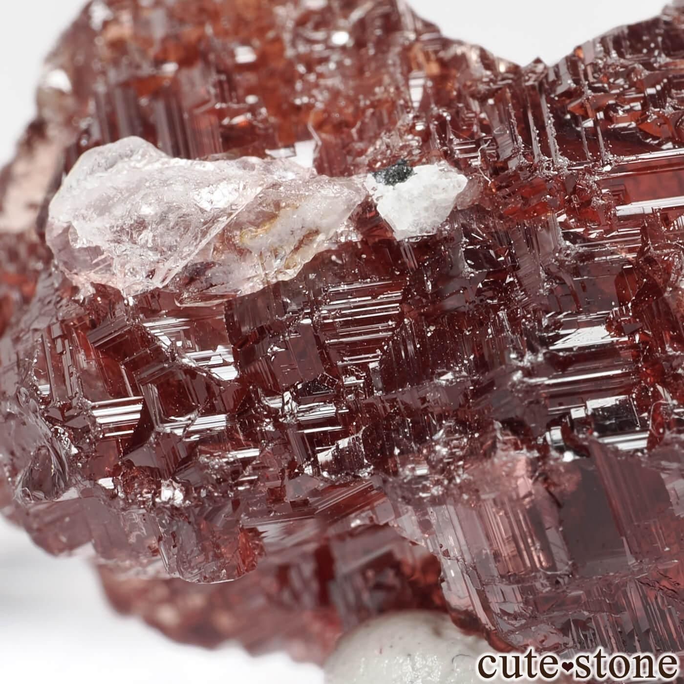 ֥饸 Navegadora claim ڥƥ󥬡ͥåȡĤθ No.15μ̿3 cute stone