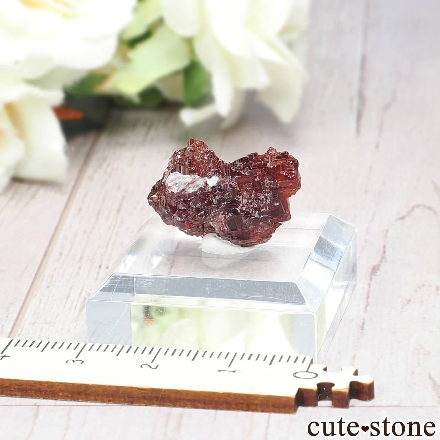 ブラジル Navegadora claim産 スペサルティンガーネット＆クォーツの