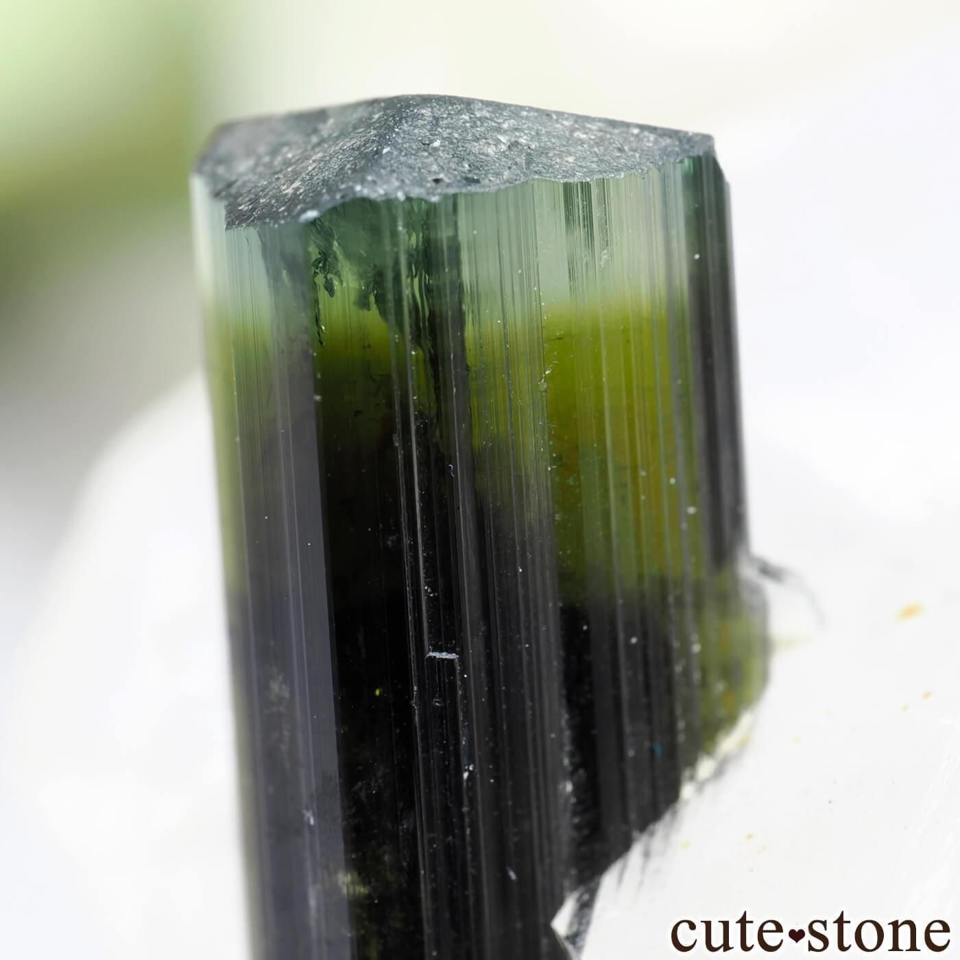 パキスタン産 ディラン テンペスト クォーツ リモナイト トルマリン 水晶 トルマリン / クォーツ【Tourmaline in Quartz】パキスタン産