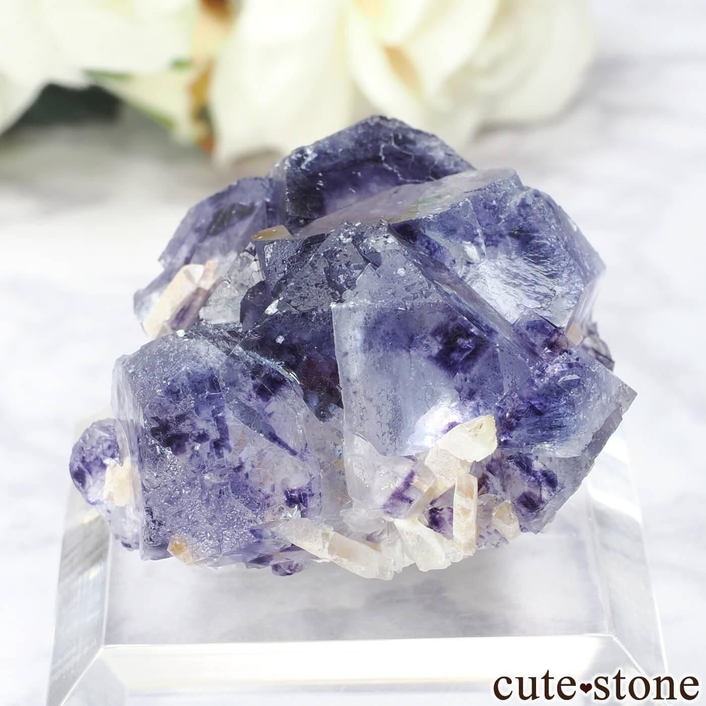 󥴥뼫 Yindu ե饤ȡĤθ No.33μ̿2 cute stone