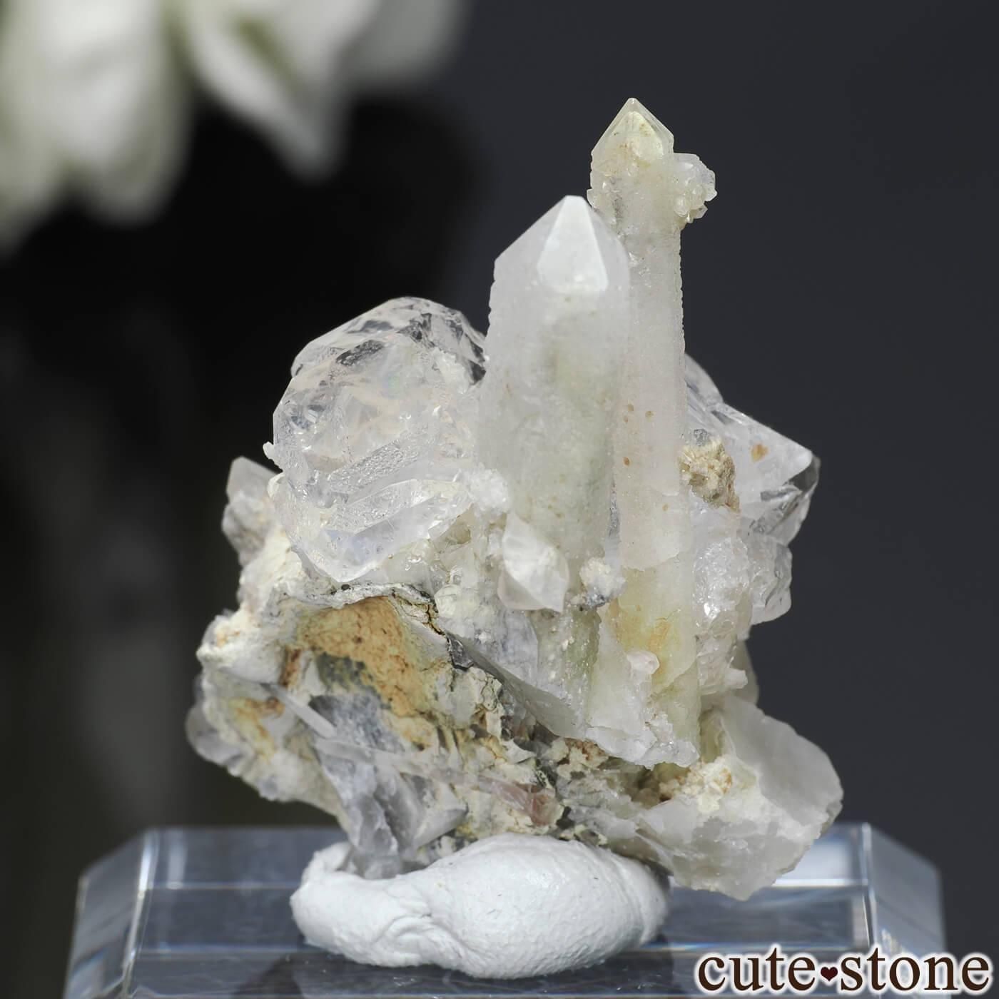  ͥ륹 Nikolaevskiy Mine ե饤ȡĤθ No.25μ̿1 cute stone