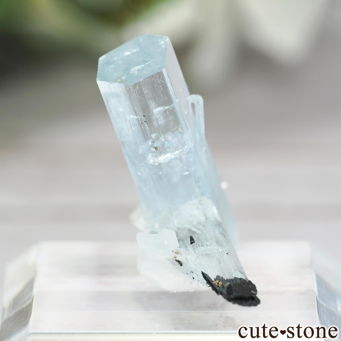 384 連晶 アクアマリン エロンゴ産 384 連晶 アクアマリン エロンゴ産