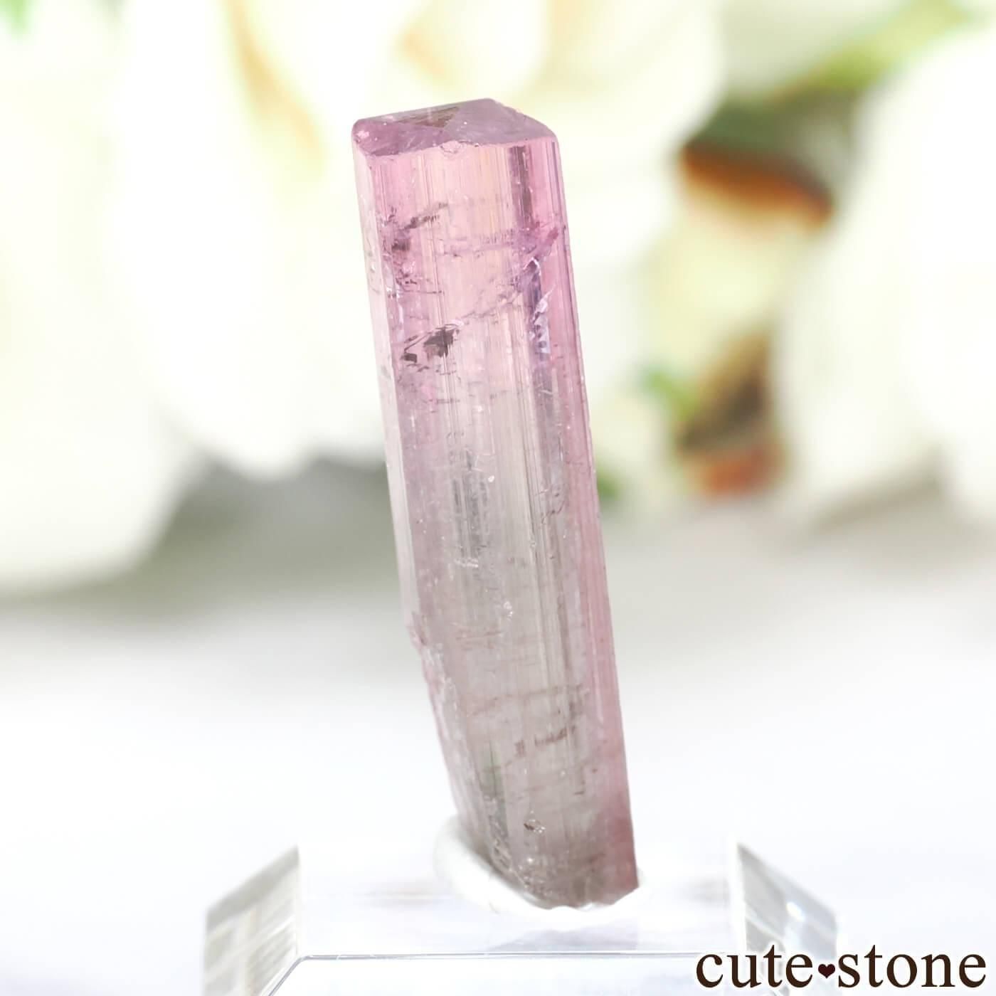 ե˥ Paprok ȥޥθ No.19μ̿0 cute stone