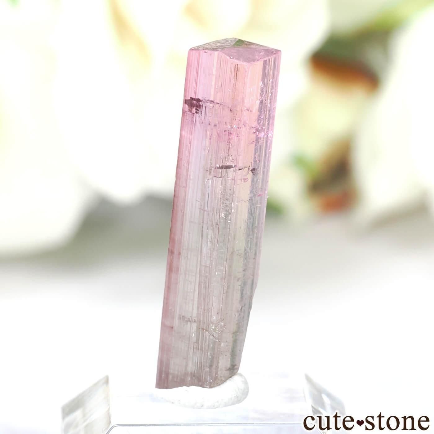 【アフガニスタン産】トルマリン原石 アフガニスタン Paprok産 トルマリンの原石 No.19 - cute stone -