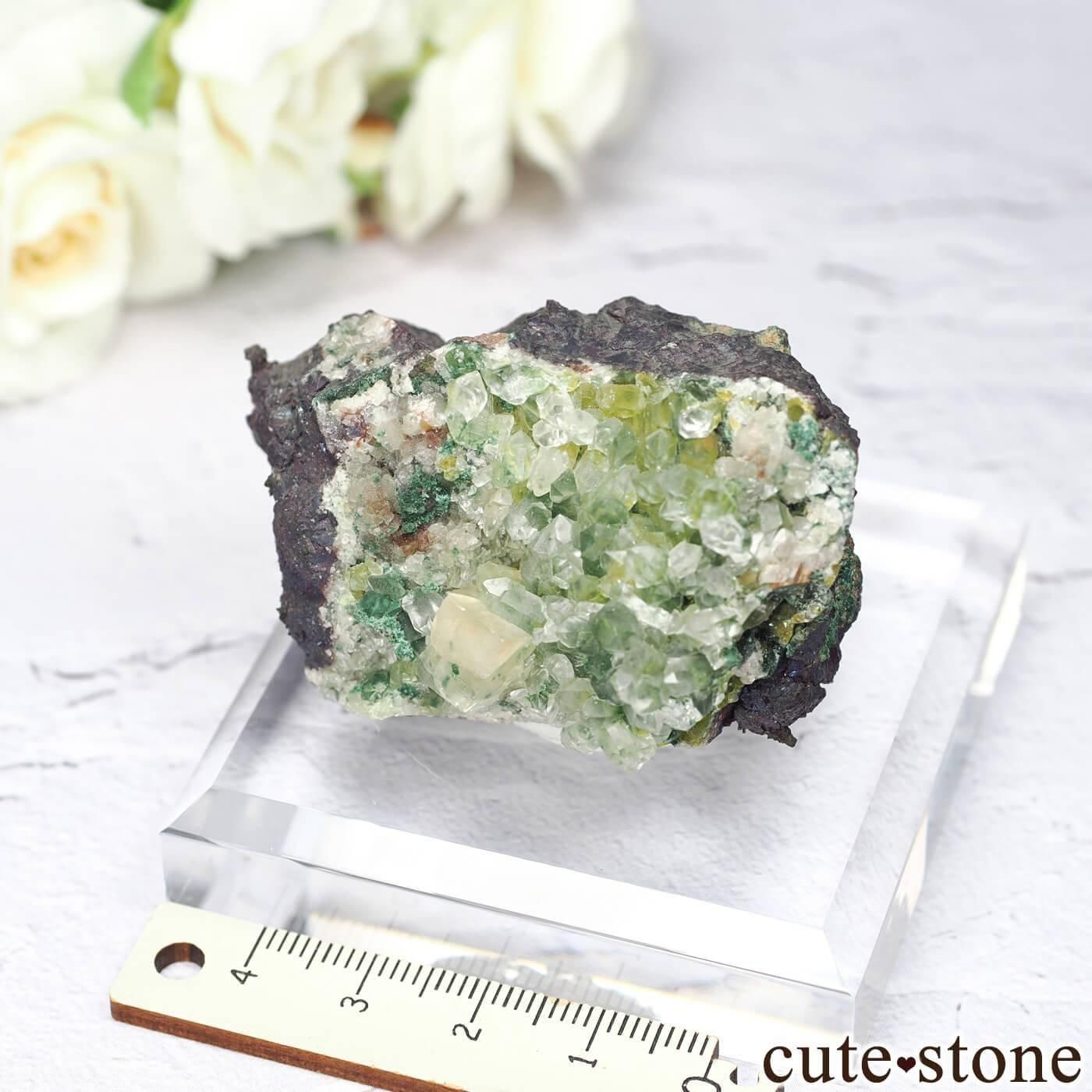 ʥߥӥ Tsumeb Mine ġ륵ȡåȥޥȤθ No.1μ̿3 cute stone