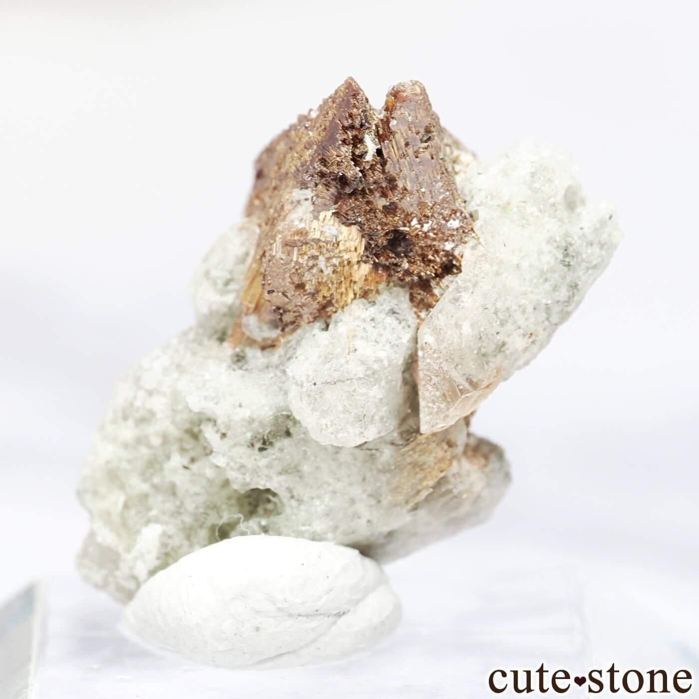 ֥饸 Cuiaba  ե ʥơʥʥơ  No.1μ̿1 cute stone
