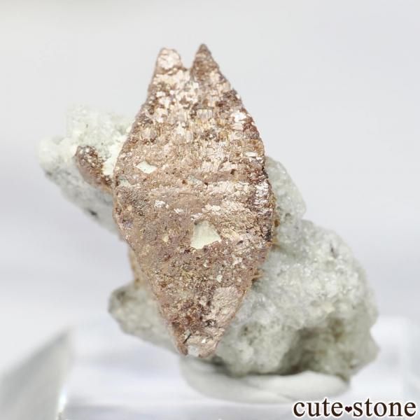 ֥饸 Cuiaba  ե ʥơʥʥơ  No.1β