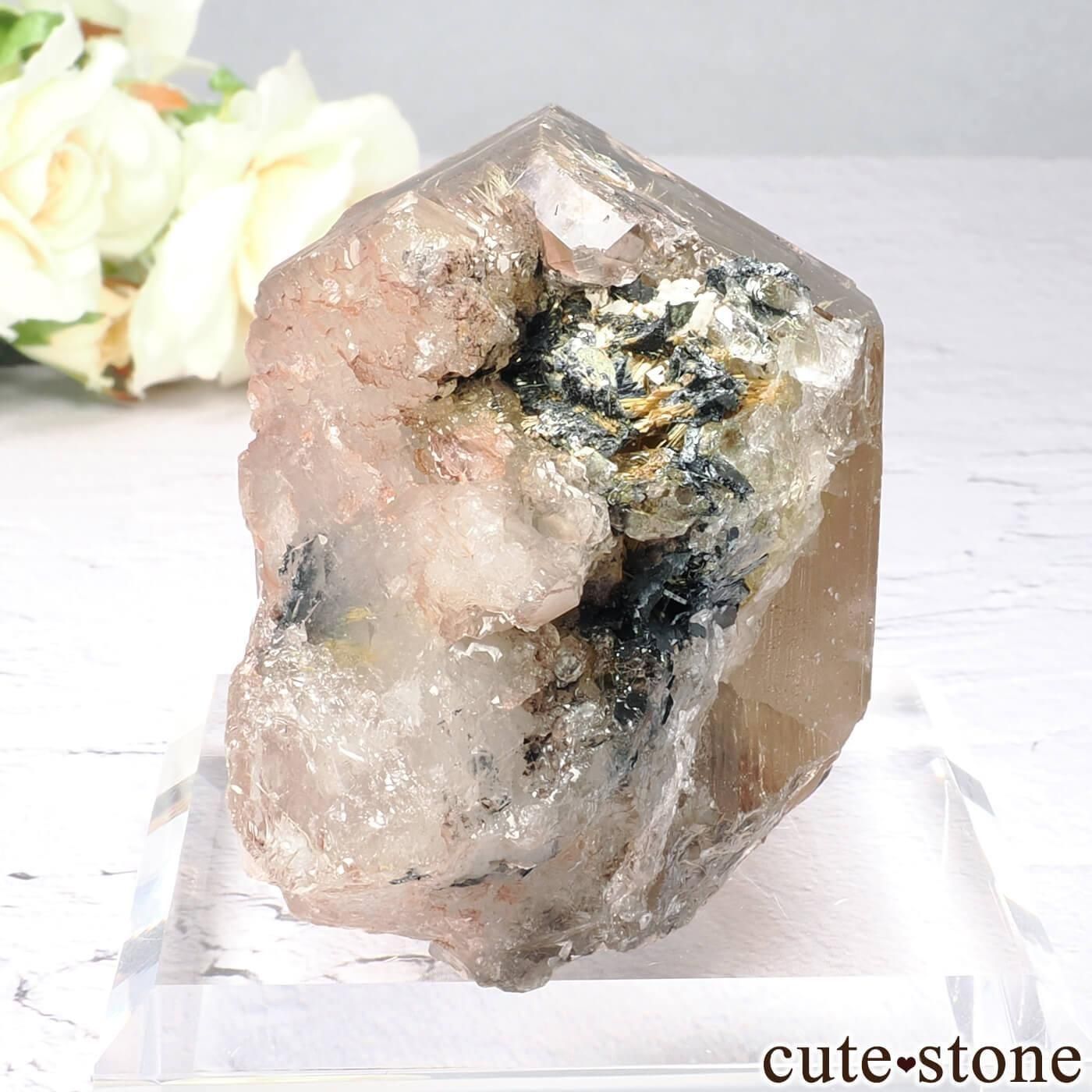֥饸 Х Ibitiara 륤󥯥ġۥˤθ No.19μ̿0 cute stone