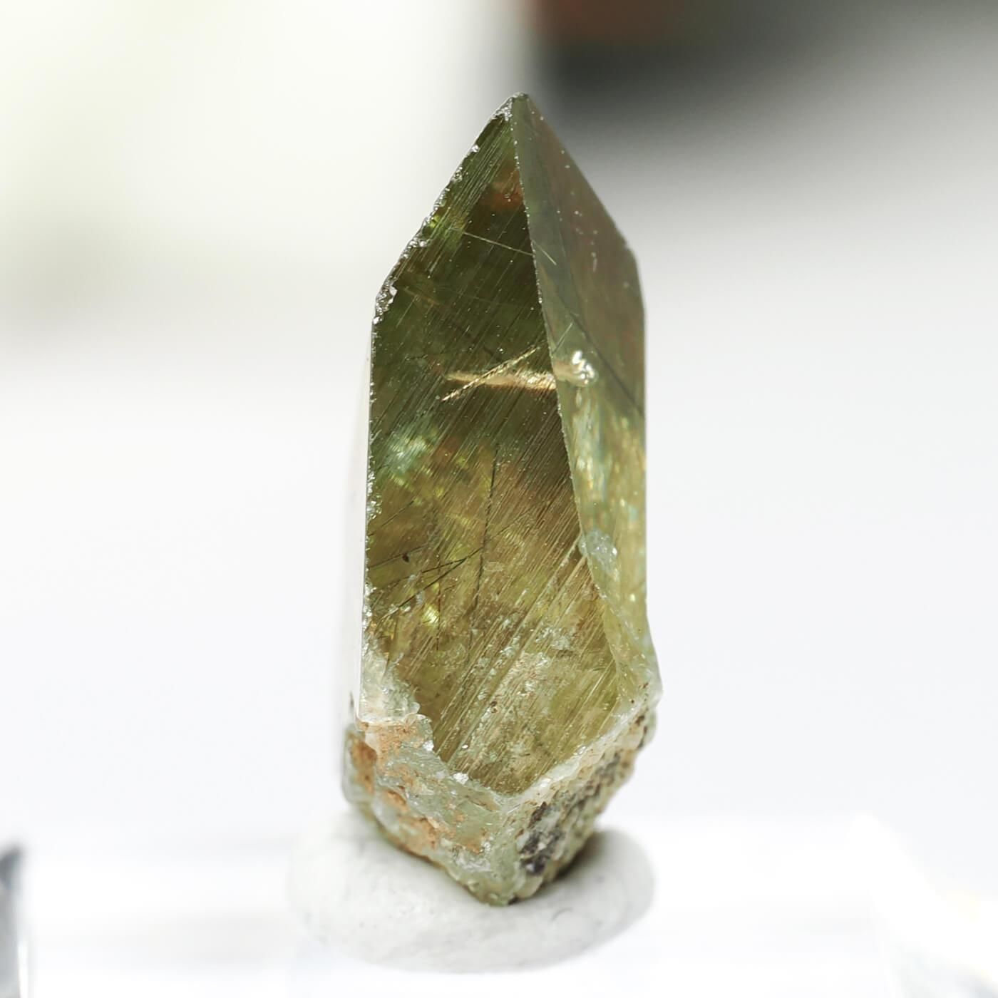 ѥ Shilman եʥʥȡˤθ No.1μ̿1 cute stone