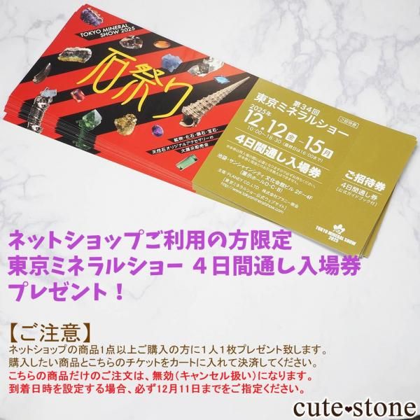 ����ߥͥ�륷�硼�����å� 4�����̤������ �ץ쥼��Ȥβ���