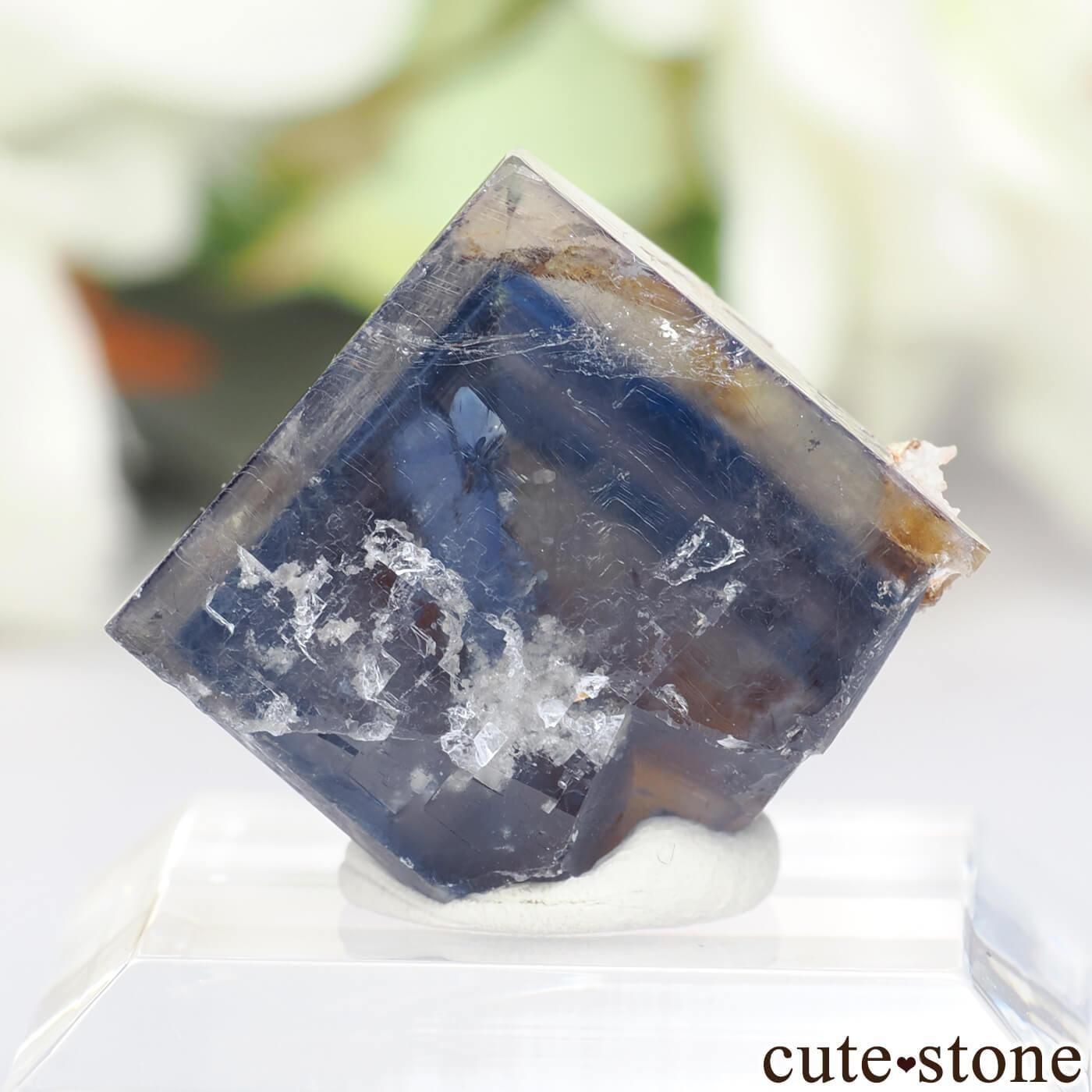 黒い森 ブラックフォレスト ドイツ フローライト 蛍石 鉱物 原石 ドイツ Todtnau産（ブラックフォレスト） フローライトの原石 No.6