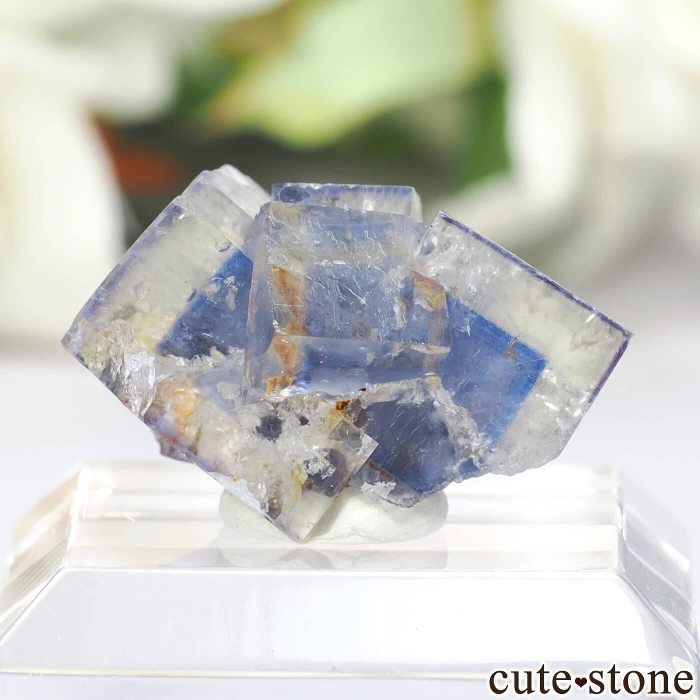 黒い森 ブラックフォレスト ドイツ フローライト 蛍石 鉱物 原石 ドイツ 黒い森産 ブルー フローライト 蛍石 原石 ブラックフォレスト