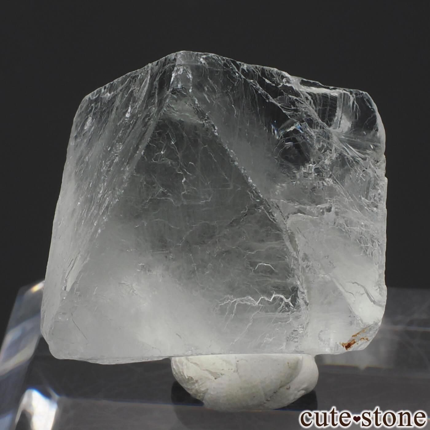 ɥ Clara Mine ȬΡʤؤ뾽˥ե饤 No.3μ̿1 cute stone