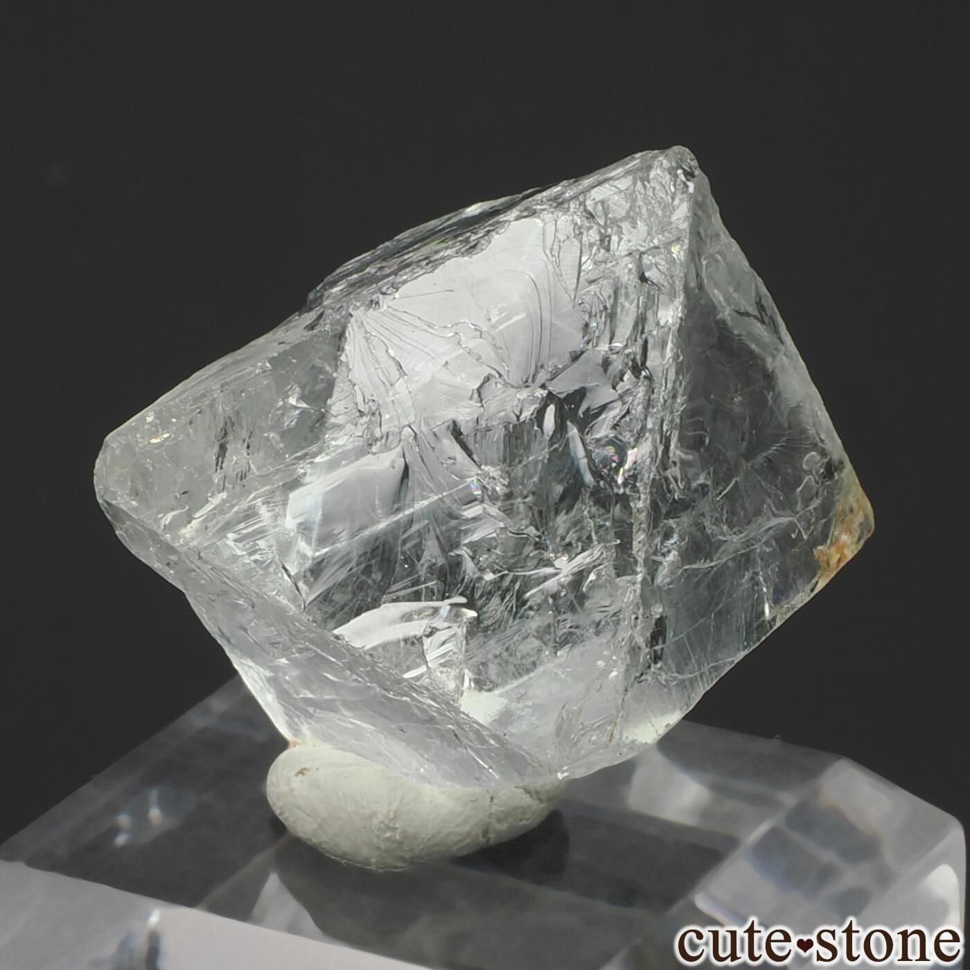 ɥ Clara Mine ȬΡʤؤ뾽˥ե饤 No.4μ̿1 cute stone
