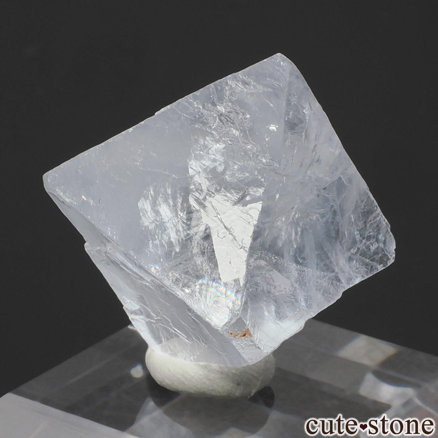 ɥ Clara Mine ȬΡʤؤ뾽˥ե饤 No.5μ̿1 cute stone