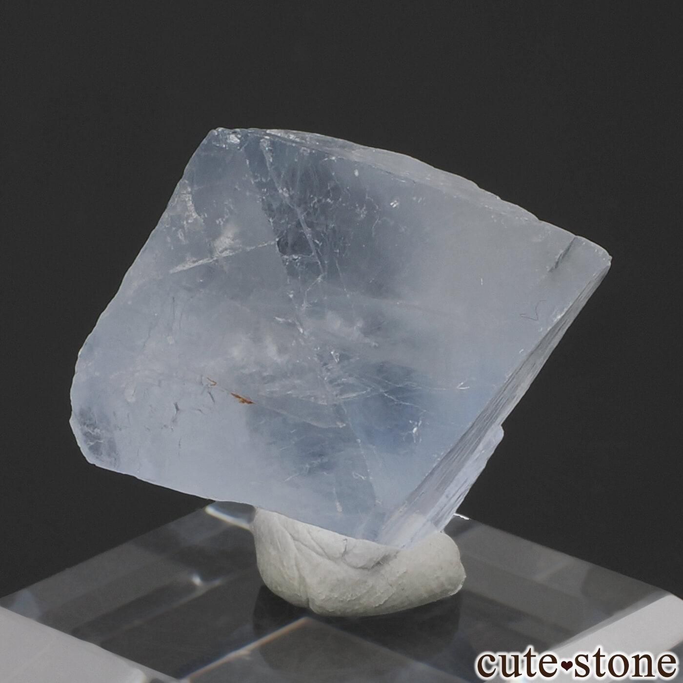 ɥ Clara Mine ȬΡʤؤ뾽˥ե饤 No.6μ̿0 cute stone