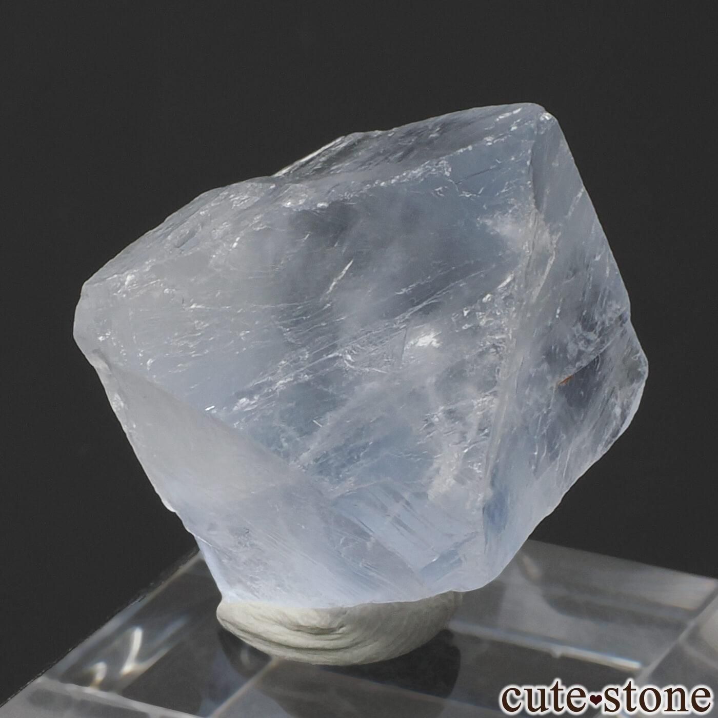 ɥ Clara Mine ȬΡʤؤ뾽˥ե饤 No.6μ̿1 cute stone