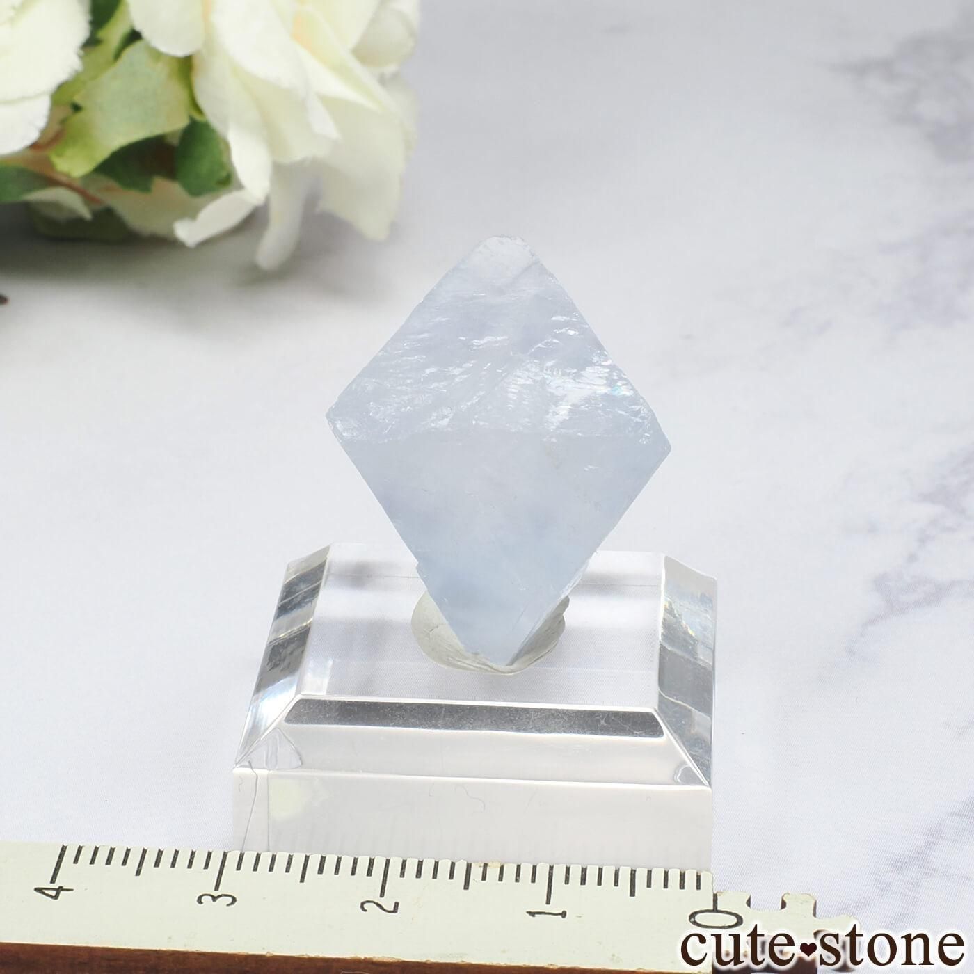 ɥ Clara Mine ȬΡʤؤ뾽˥ե饤 No.6μ̿2 cute stone