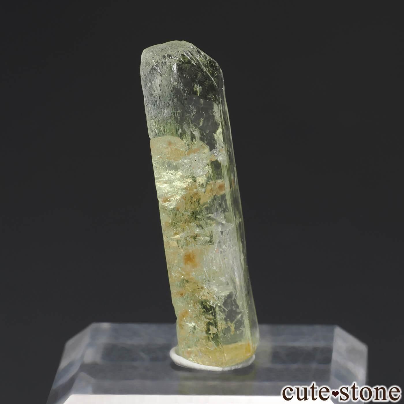 ֥饸 Padre Paraiso إꥪɡθ No.1μ̿0 cute stone