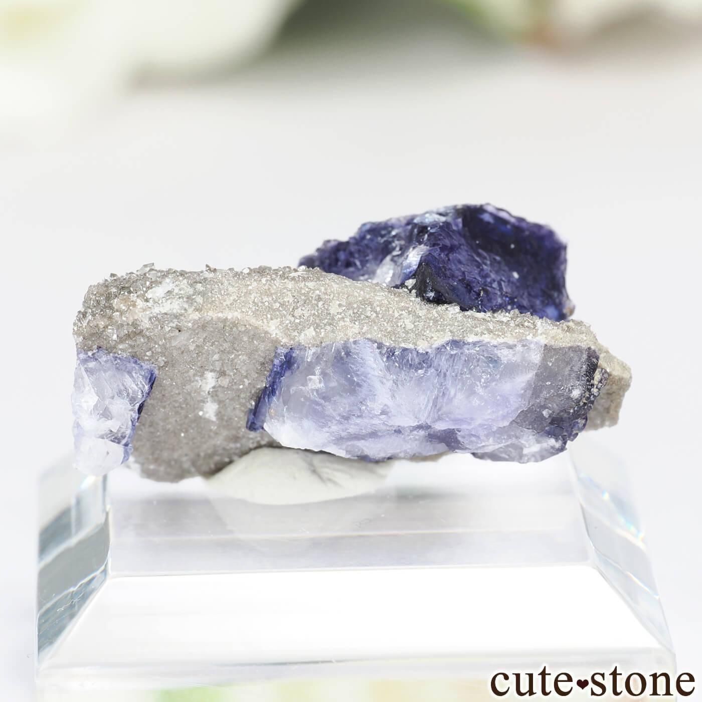 ꥫ Elmwood Mine ե饤Ȥθ No.47μ̿1 cute stone