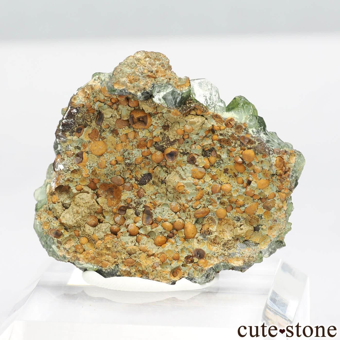 ֥饸 Sao Gabriel da Cachoeira ɥޥȤθ No.11μ̿1 cute stone