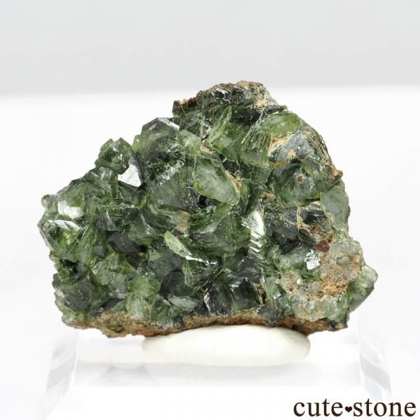 cute stone】 鉱物標本・原石・天然石アクセサリー販売店 キュートストーン