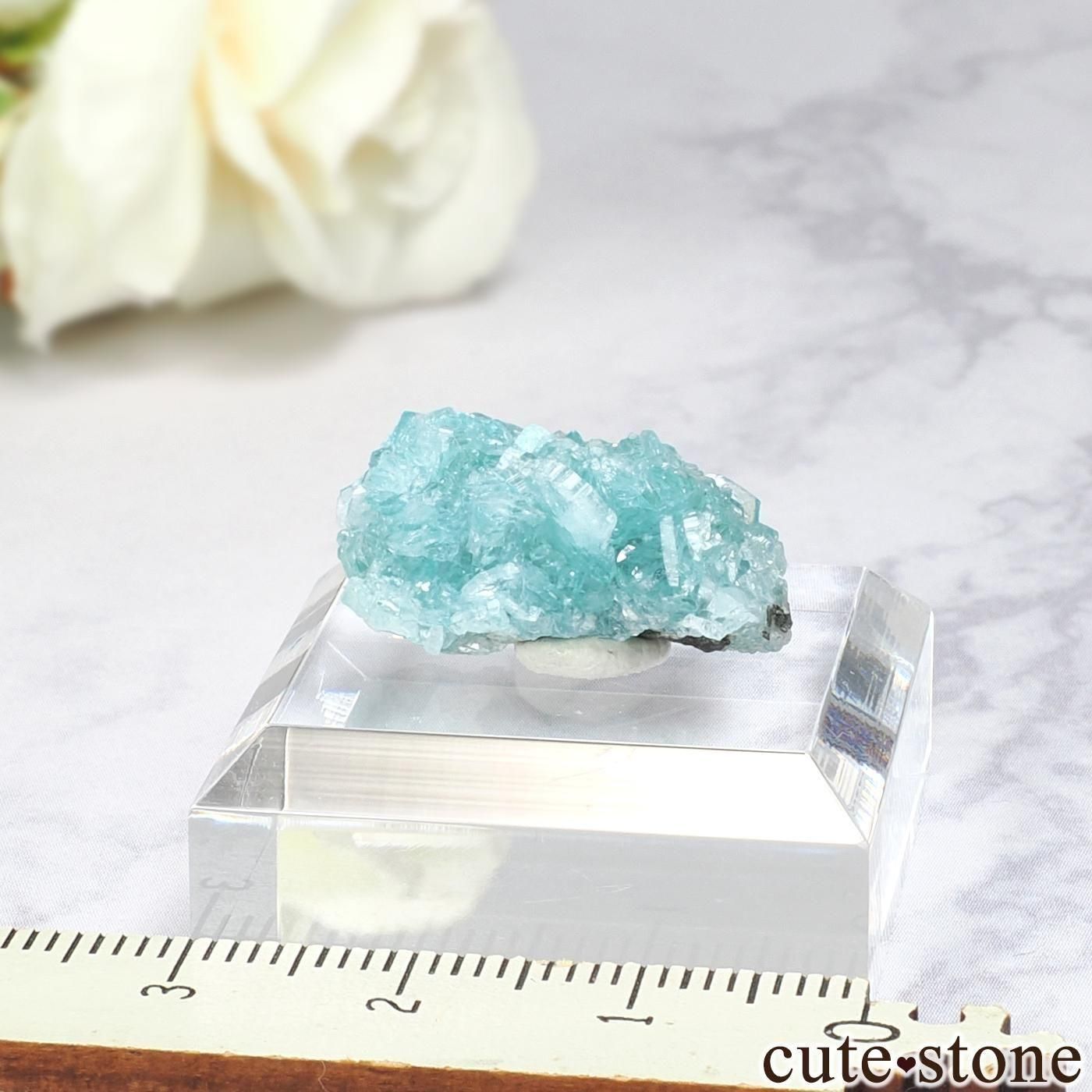 ᥭ San Bartolo Mine ܡ饤Ȥθ No.2μ̿3 cute stone