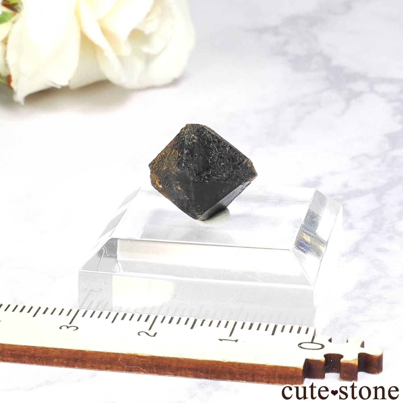 ꥢ Monteriggioni 󥴡 - ꥪθ No.8μ̿1 cute stone