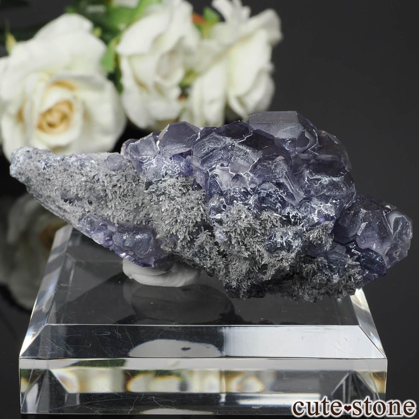 中国 福建省 Xia Yang Mine産 フローライト＆クォーツの原石 No.44