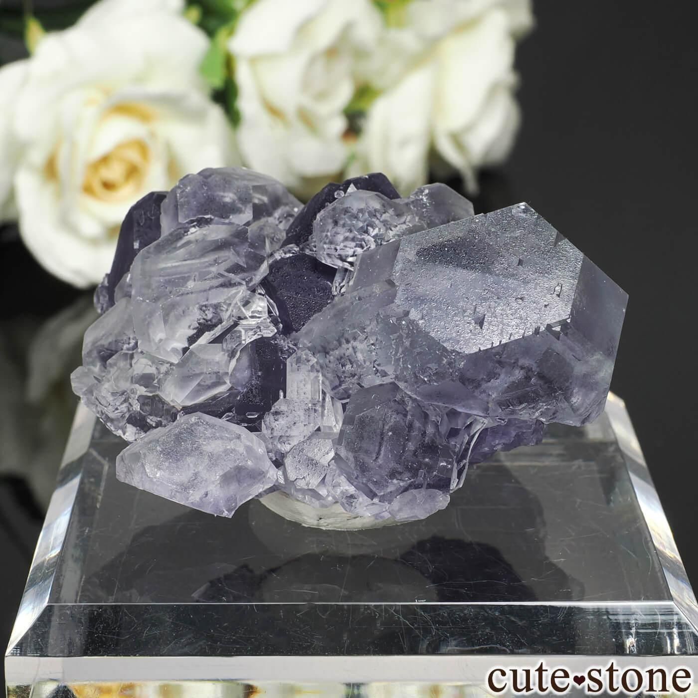 中国 福建省 Xia Yang Mine産 フローライトの原石 No.45 - cute stone -