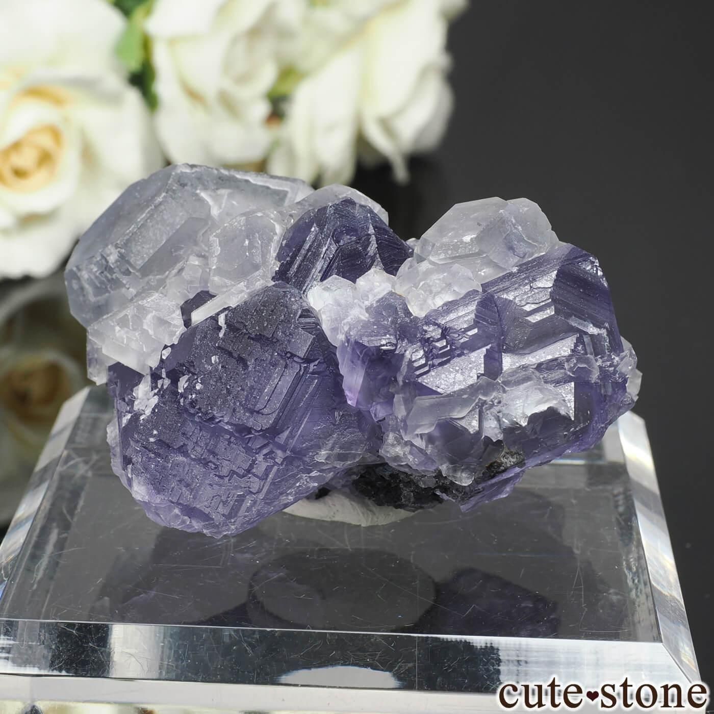  ʡ Xia Yang Mine ե饤Ȥθ No.45μ̿1 cute stone