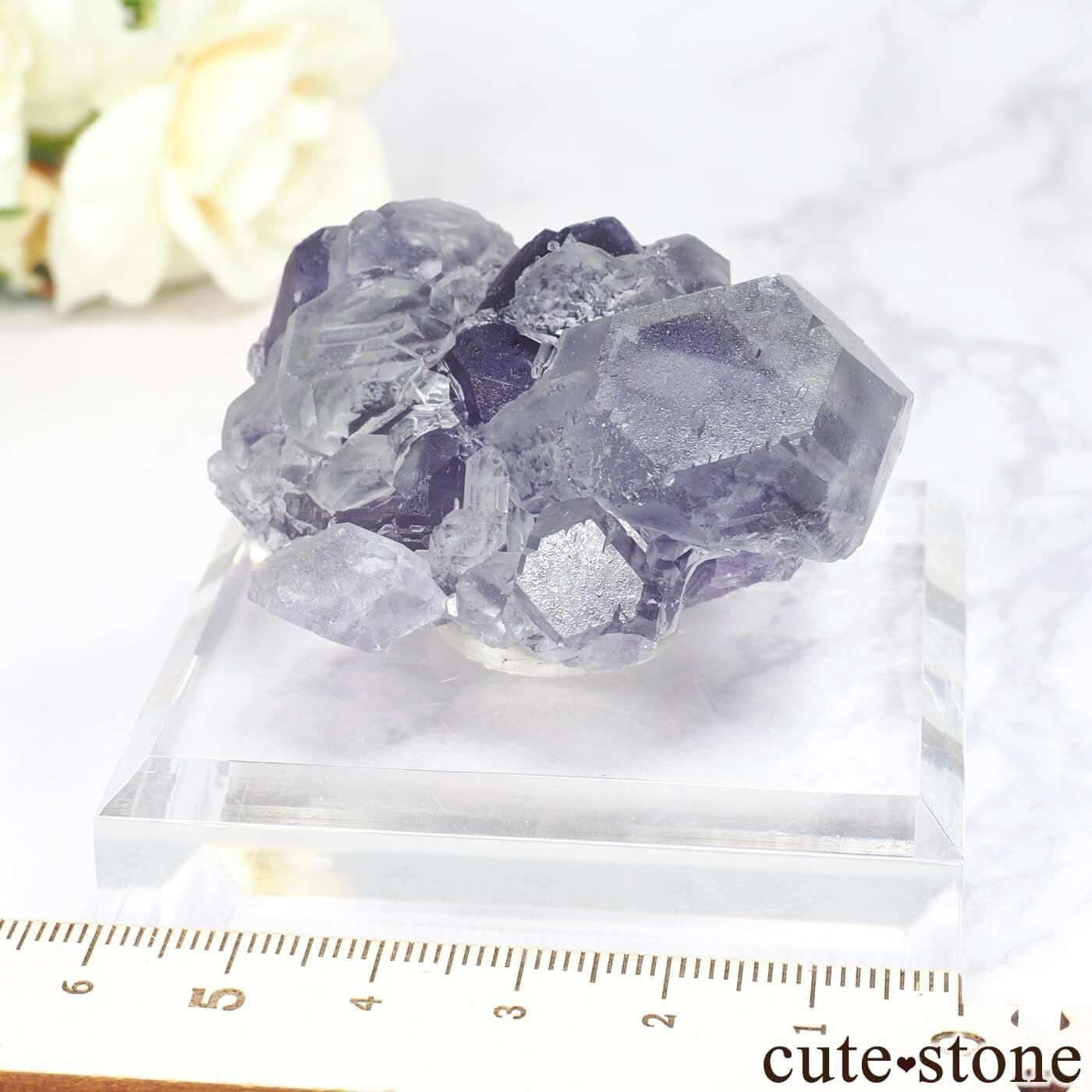  ʡ Xia Yang Mine ե饤Ȥθ No.45μ̿3 cute stone