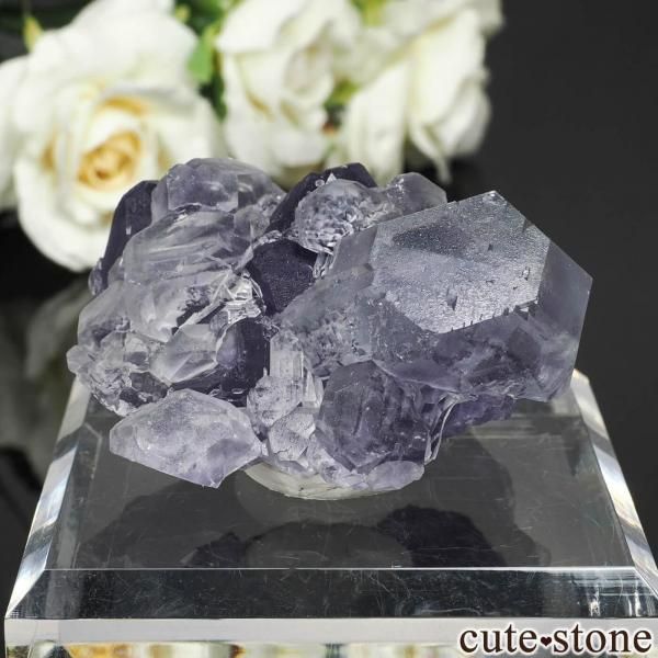 天然石・パワーストーンの原石・鉱物標本の販売 商品一覧 - cute stone -