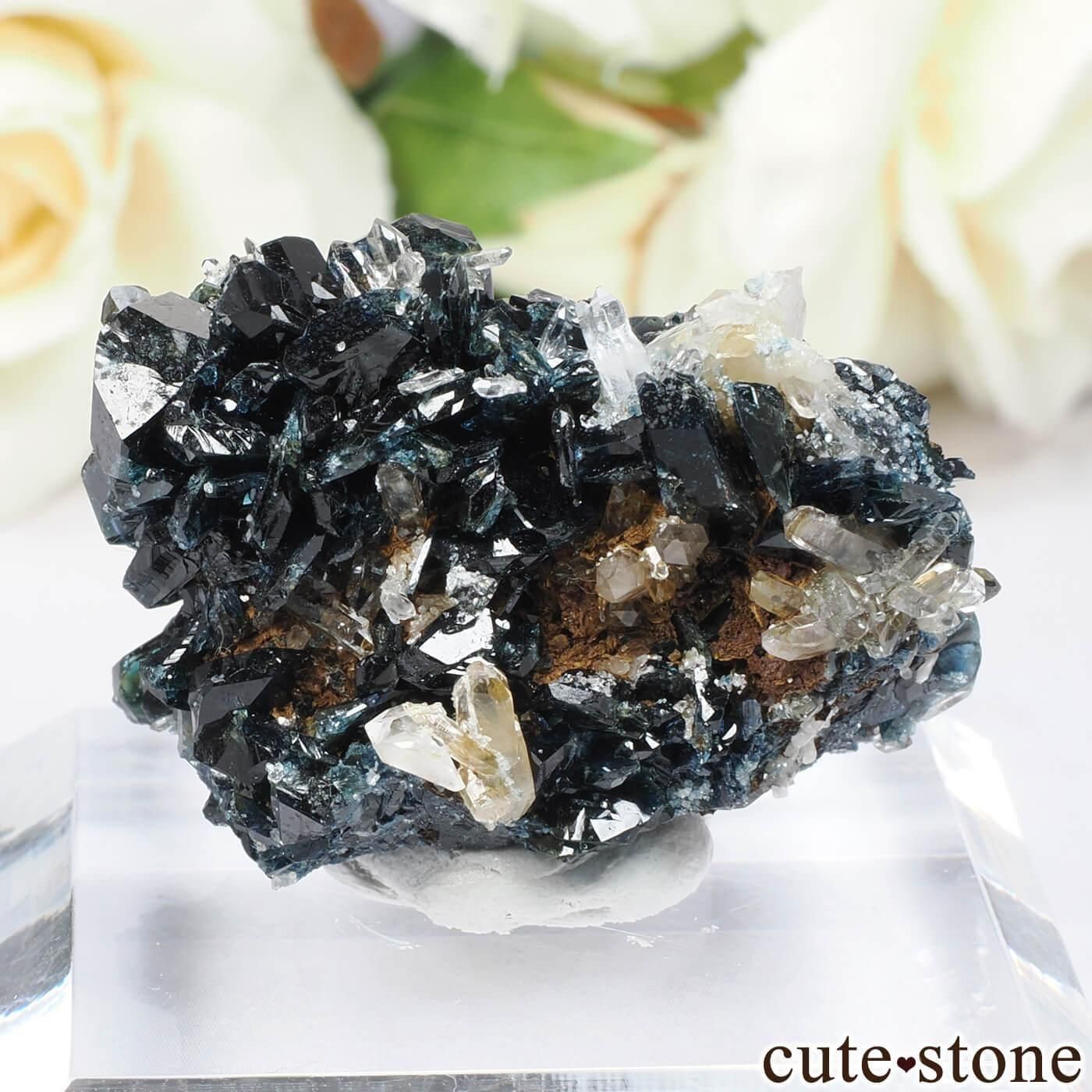 ʥ 桼 Crosscut Creek 饺饤(ŷ)Ĥθ No.1μ̿1 cute stone