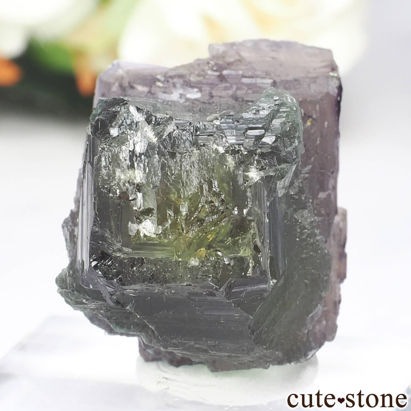 ɥ Bergmannisch Gluck Flacher ե饤 No.1μ̿0 cute stone